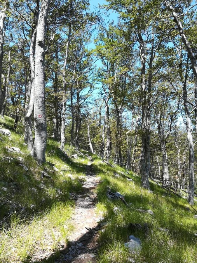 Feral Leilighet Sveti Juraj Eksteriør bilde